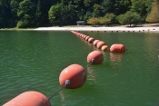orange buoys on green lake